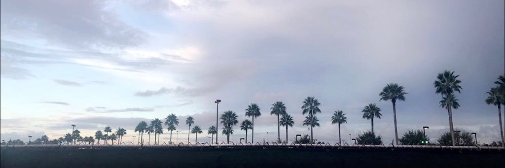 haileyddance's profile banner image