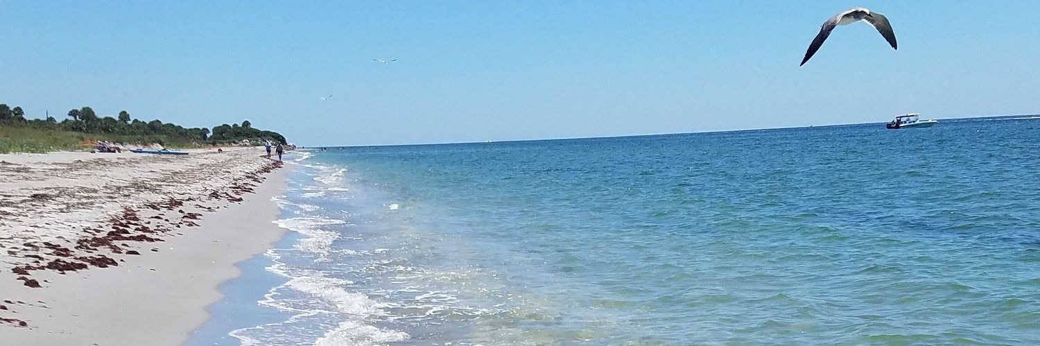 RealRedBone's profile banner image