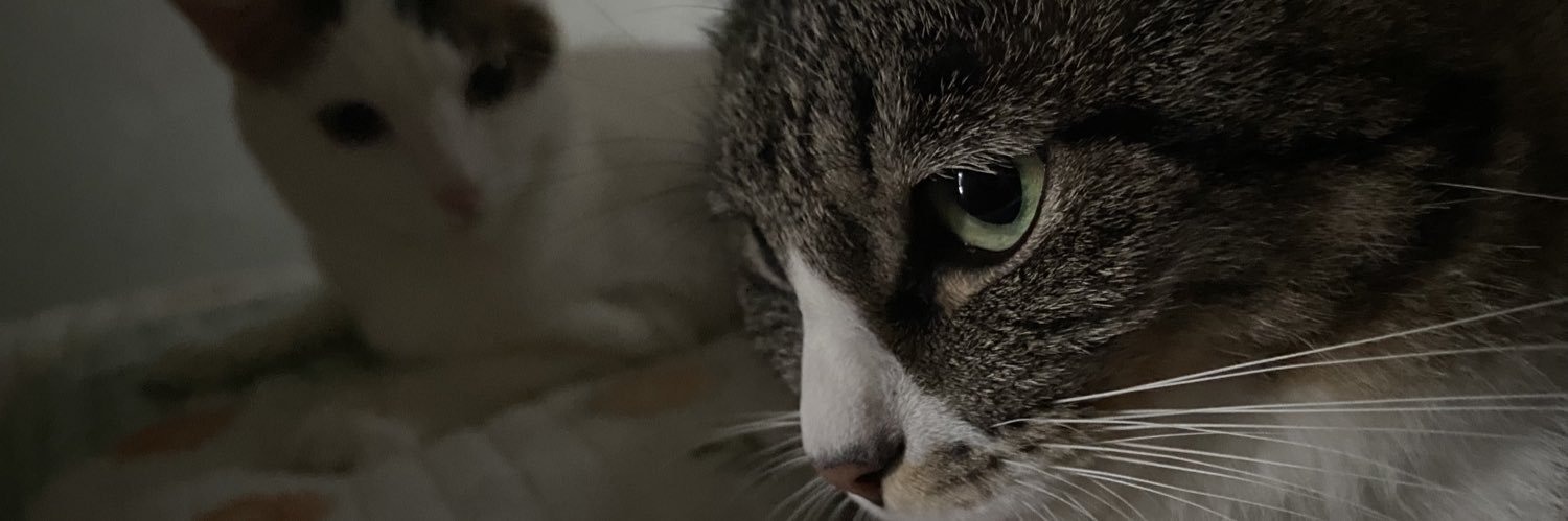 loveIe2er's profile banner image