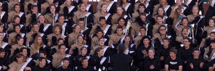 BushlandBand's profile banner image