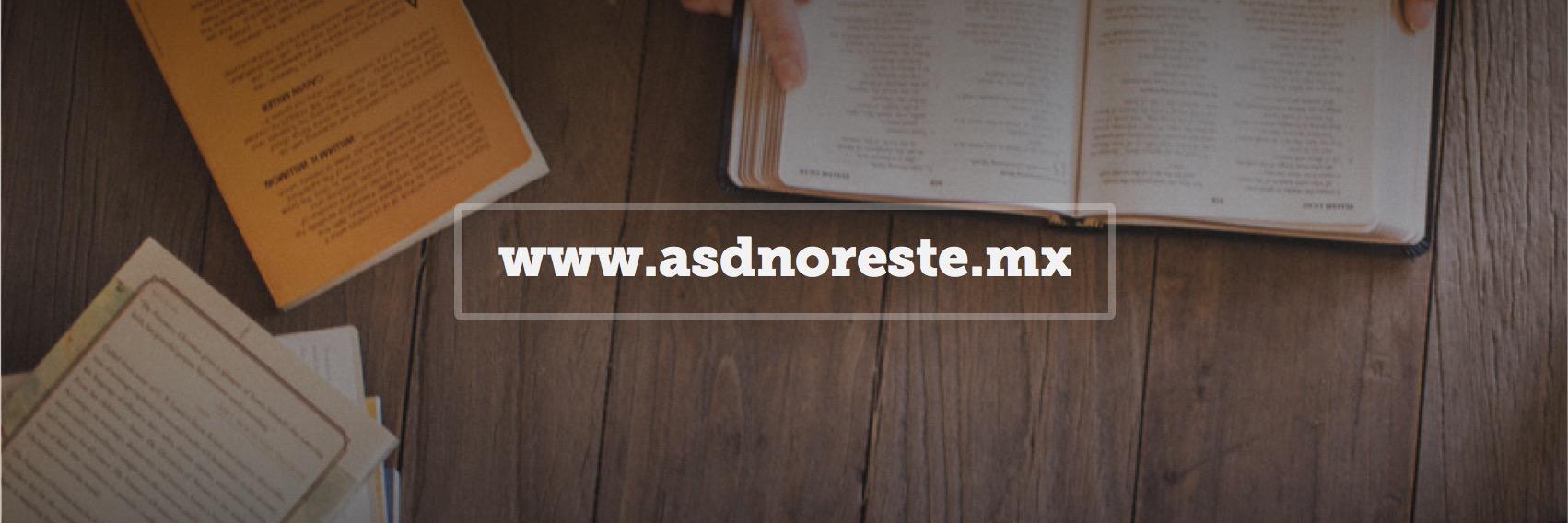 ASD Noreste banner