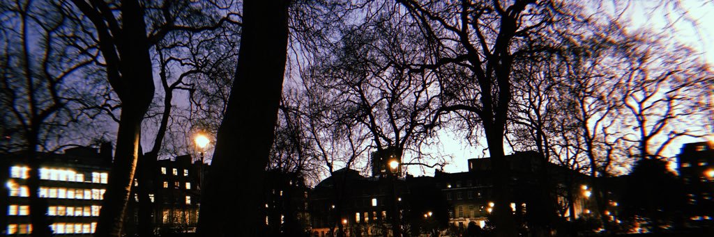 nachucaram's profile banner image