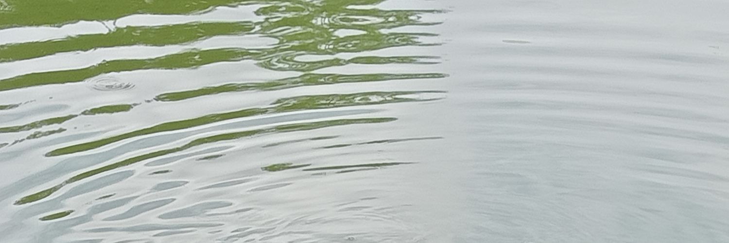 MrDuck banner