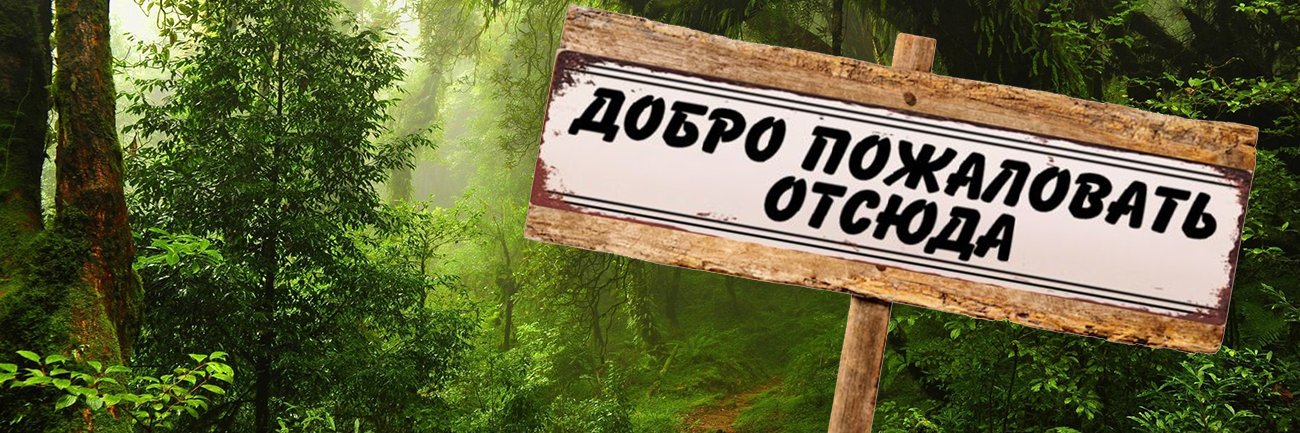 медоед-беспредельщик's banner