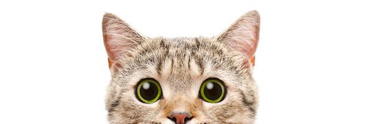 49Perso's profile banner image