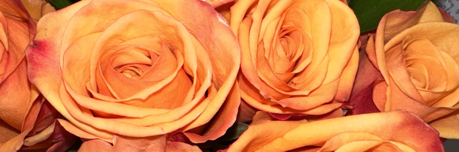 damagedimee's profile banner image