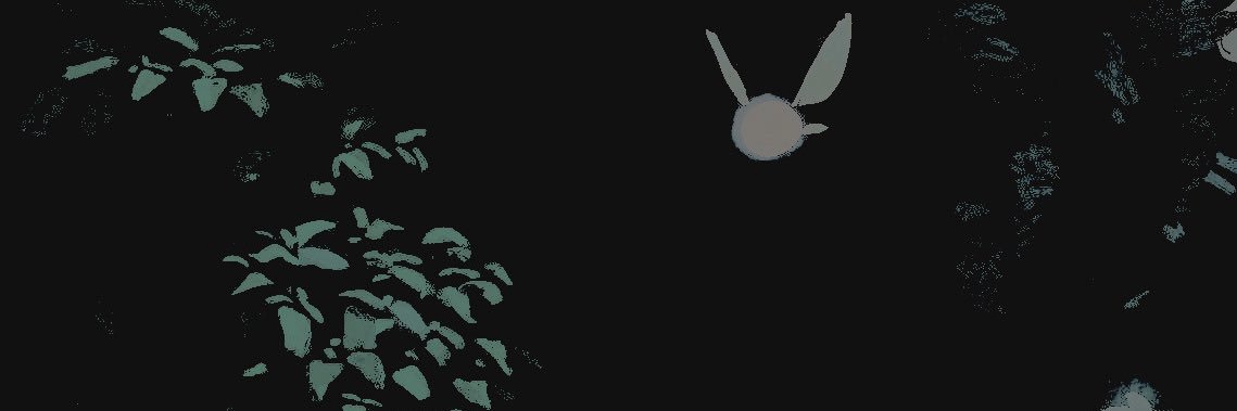 ‍ ゛.. ‍ the ‍ grey ‍𝐰 ┈anderer. banner