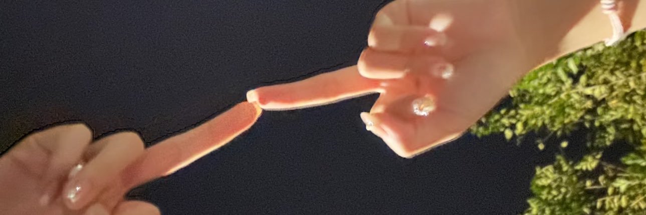 翻滚猫 banner