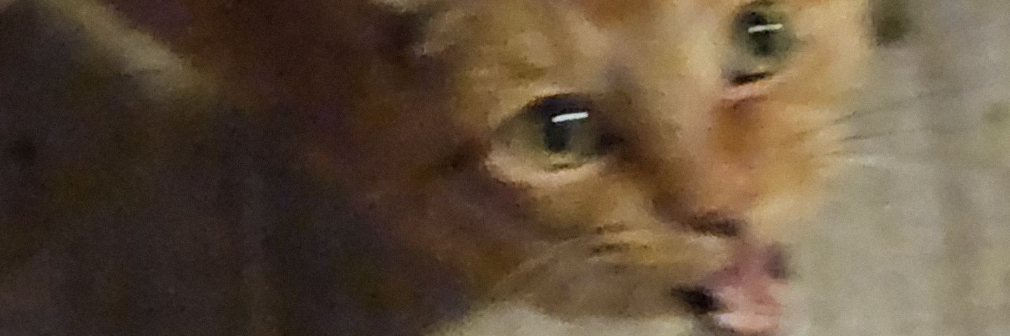 CaseyBenchLife's profile banner image