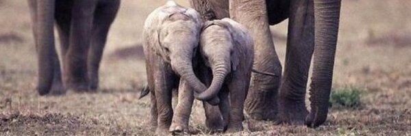 _KJKelly Profile Banner