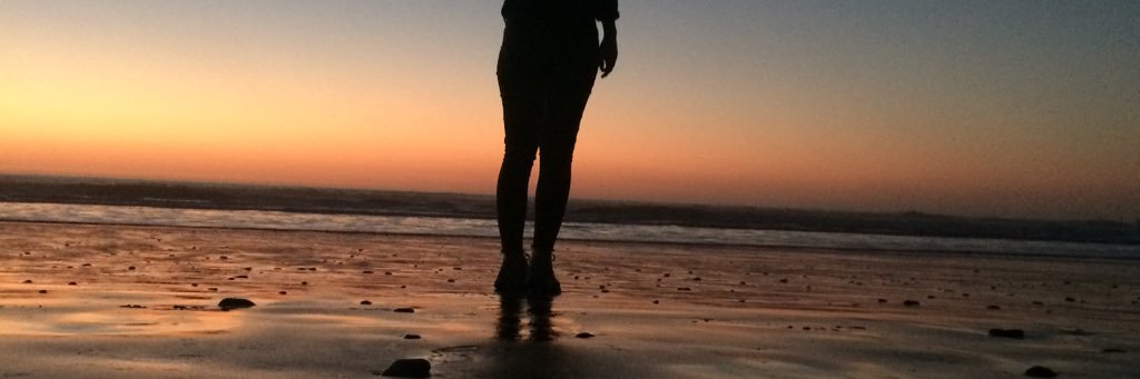 fernandasalasf's profile banner image