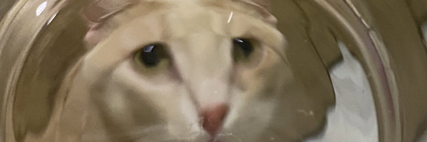 nazlatte banner