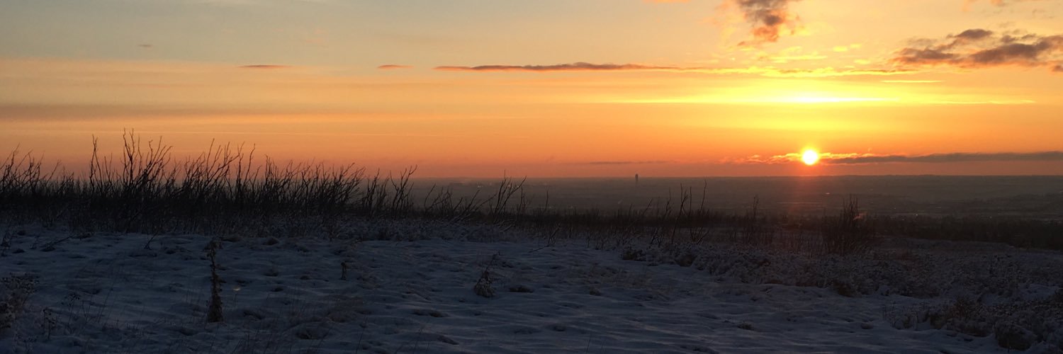AlisonJoy_D's profile banner image