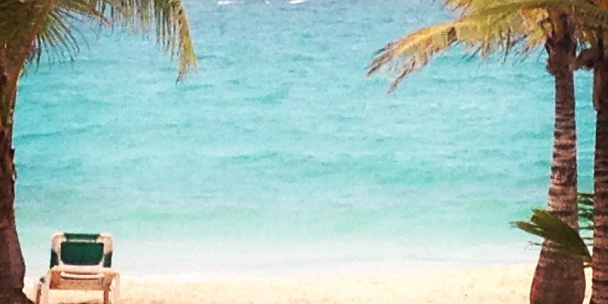 MicheleHingst's profile banner image