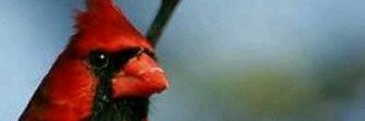 fonseca_36's profile banner image