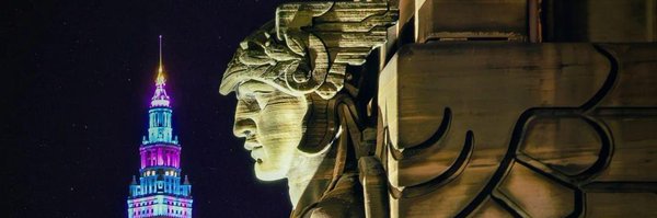 MohawkFrogs Profile Banner