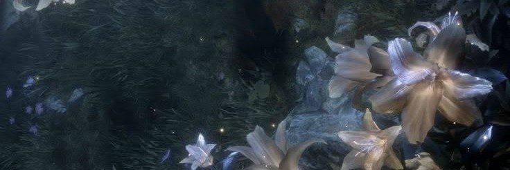 elnixss's profile banner image