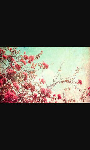 Sabna_dw17's profile banner image