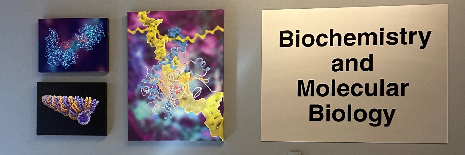 Department of Biochemistry and Molecular Biology banner