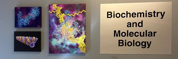 Department of Biochemistry and Molecular Biology Profile Banner