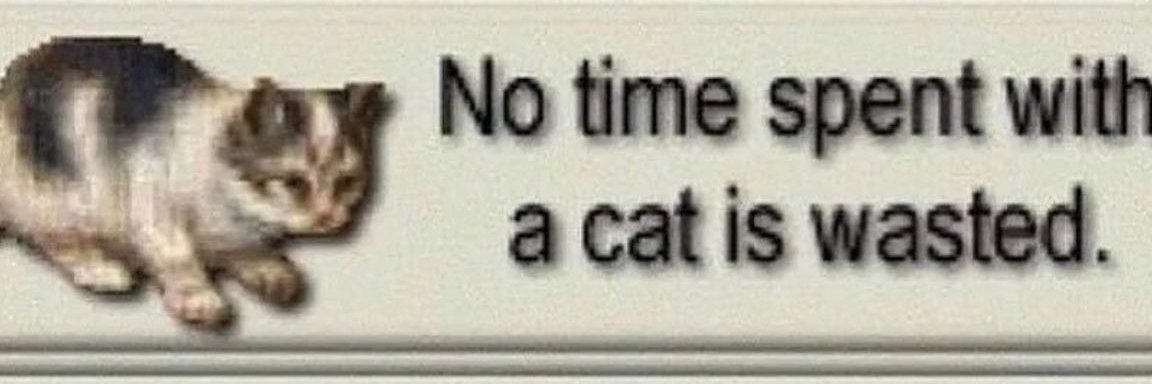 Gevalt ✡︎ banner