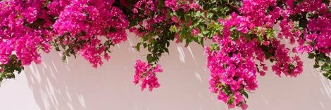 dimechof_'s profile banner image