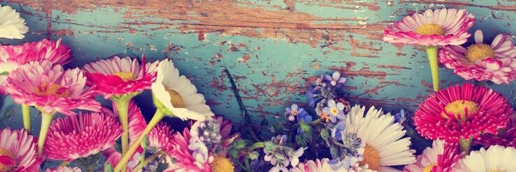 paulina_sa's profile banner image