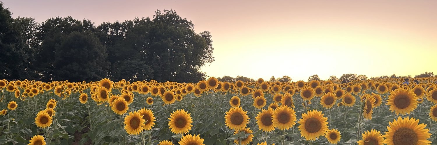 AngelaInteriano's profile banner image