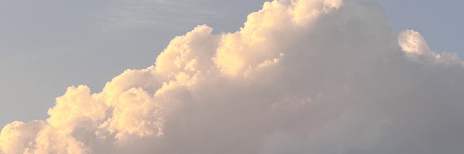 Roachi96's profile banner image