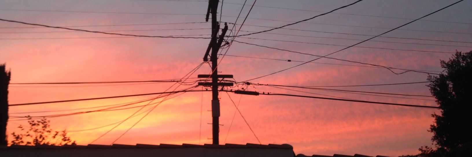 bleener's profile banner image