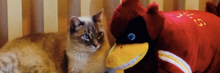 toeshoes's profile banner image