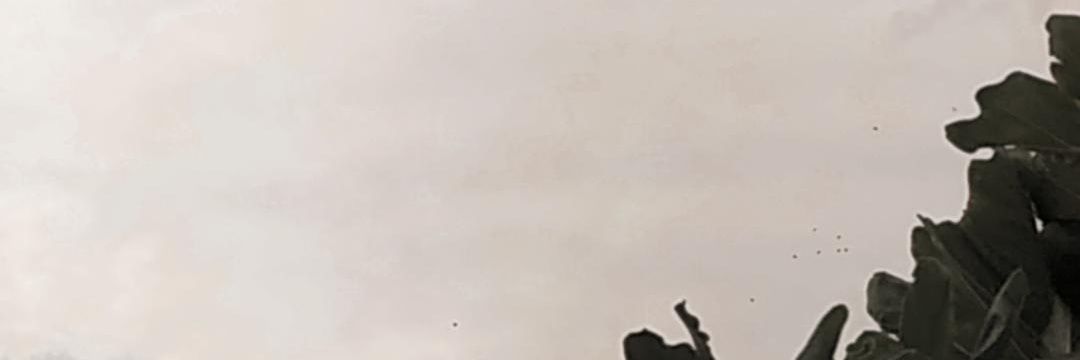 Yaalbarello's profile banner image