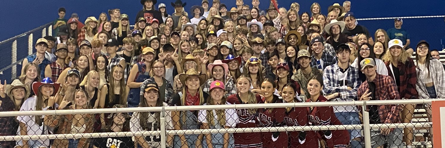 RDP Student Section banner
