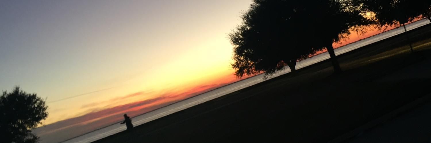 baileyscottt's profile banner image