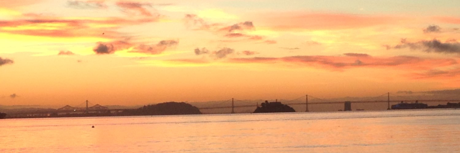 SilverDMcDonald's profile banner image