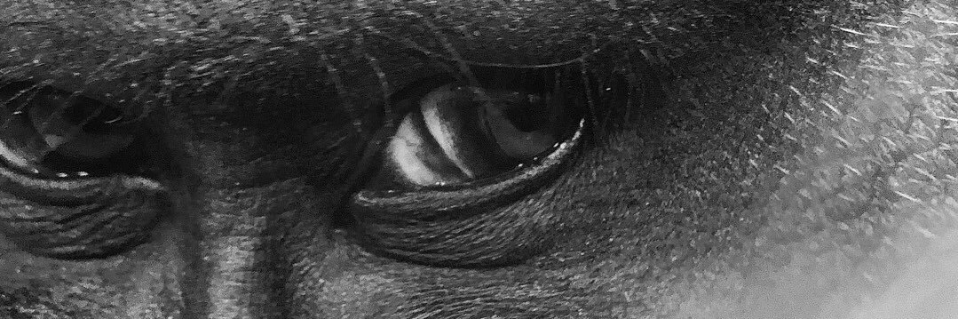 MathewJohns's profile banner image