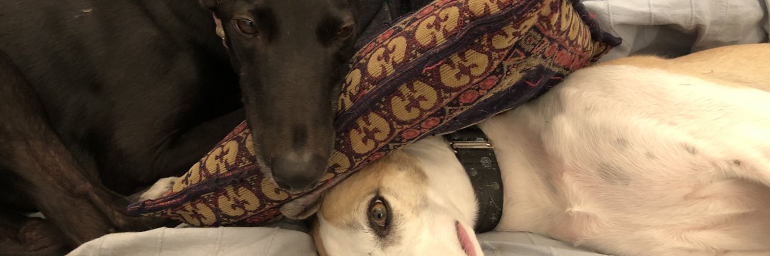 NikosTheTwit's profile banner image