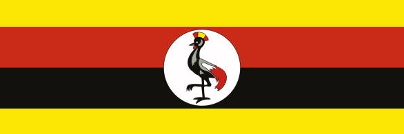 Kagimu Janatio 🇺🇬📊 banner