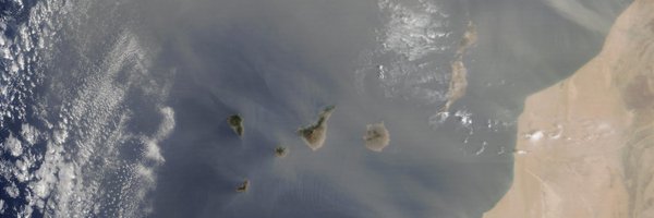 focasa Profile Banner