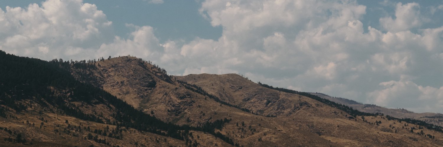 bripieffer's profile banner image