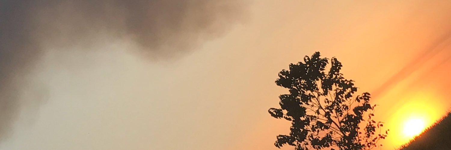 ErnyDavid's profile banner image