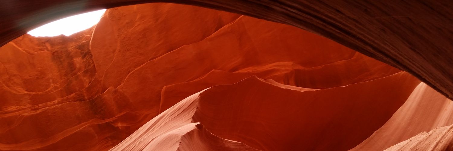 schott_mason's profile banner image