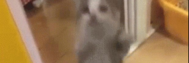 0xindiEth's profile banner image