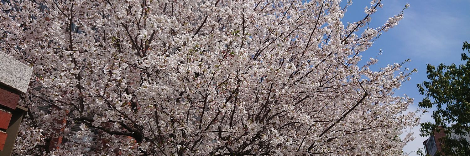 しろうまる banner