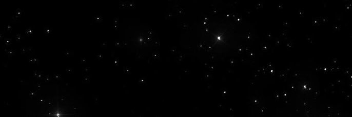 Natt_Rogal's profile banner image