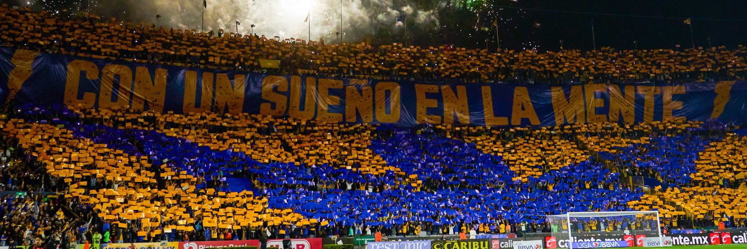 Absolute Tigres banner