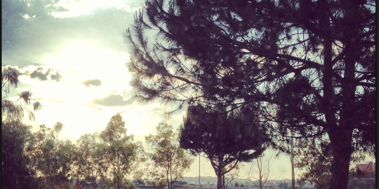 sillycrewstory's profile banner image