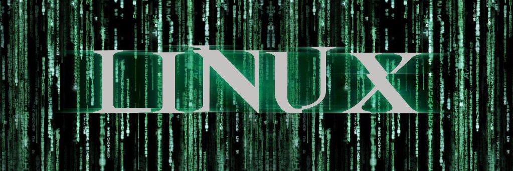 lepingouin's profile banner image