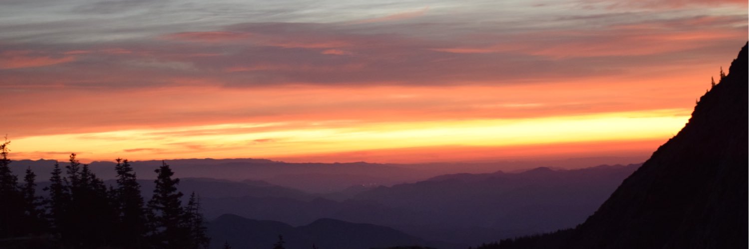morgmarshall's profile banner image