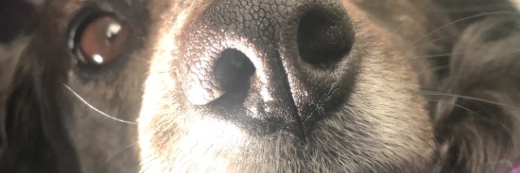 Fifimsi's profile banner image